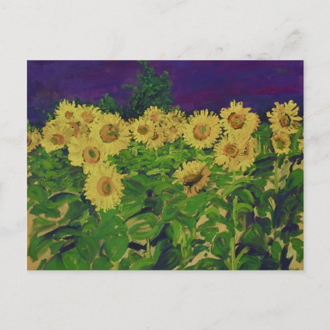 0067-le champ des tournesols postcard (Front)