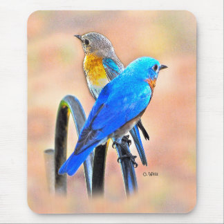 010 Bluebird Love 7.75x9.25 Mouse Pad