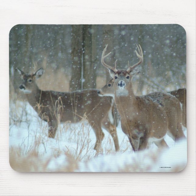 011110-57-AMP MOUSE PAD (Front)