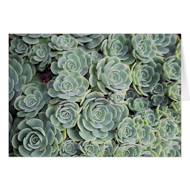 01760023 (Front Horizontal)