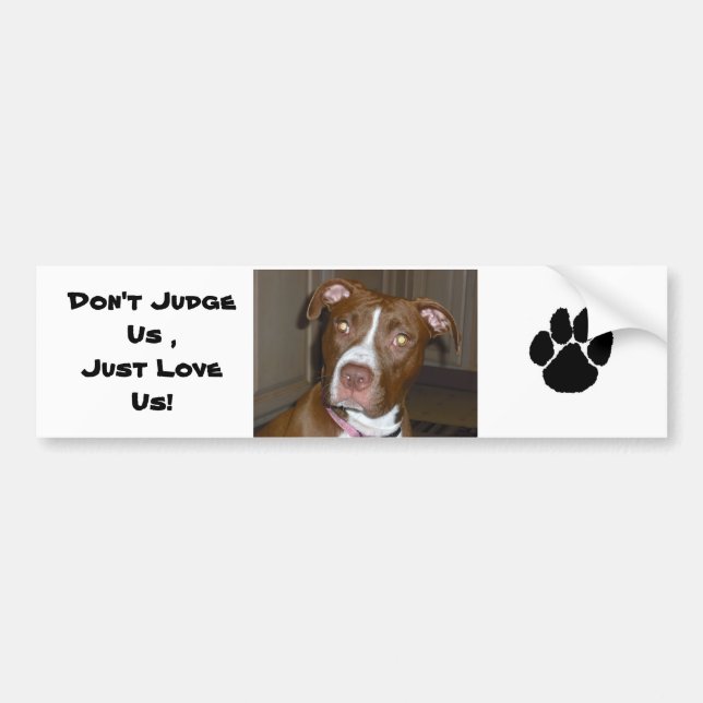 019 (1) perfect puppy pic of Brandy Bumper Sticker (Front)