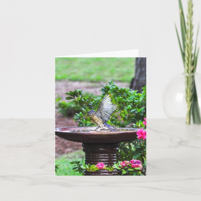 030 Bluebird Bath Note Card 4.25x5.5 Matte (Front)