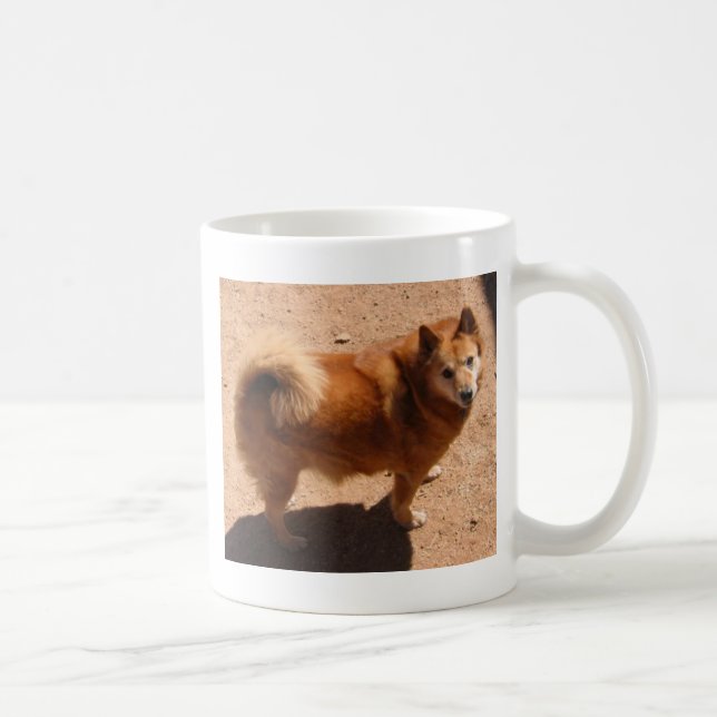 031806 Copper.jpg Coffee Mug (Right)
