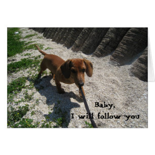 03-21-10 118, Baby,I will follow you