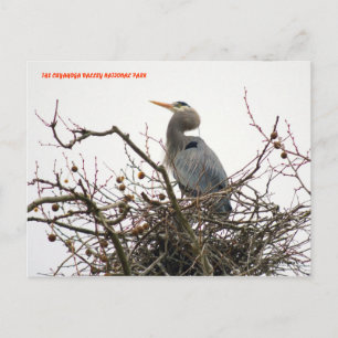 040111-70-APC POSTCARD