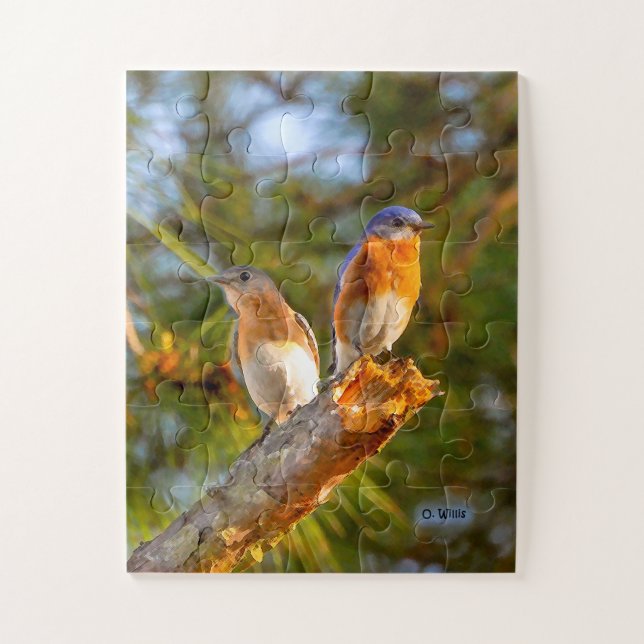 040 Bluebird Courtship Puzzle 11x14 Kids (Vertical)