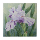 0440 Purple Iris