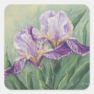 0455 Purple Irises Square Sticker