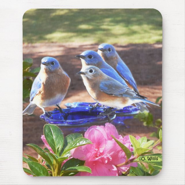 050 Bluebirds Forever 7.75x9.25 Mouse Pad (Front)