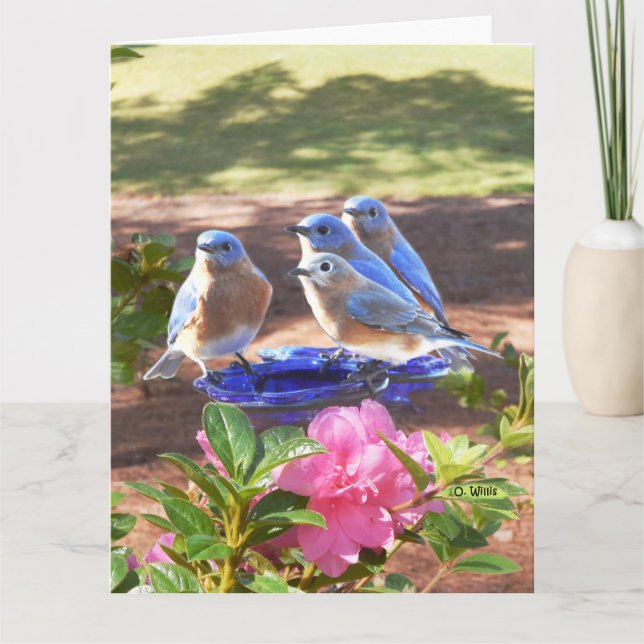 050 Bluebirds Forever Big Card 8.5x11 Matte (Front)