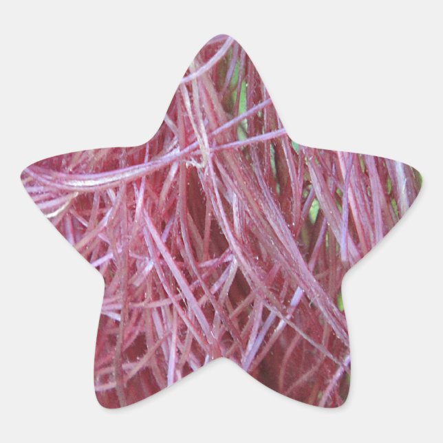 056.JPG STAR STICKER (Front)