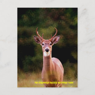 070306-34-APC POSTCARD