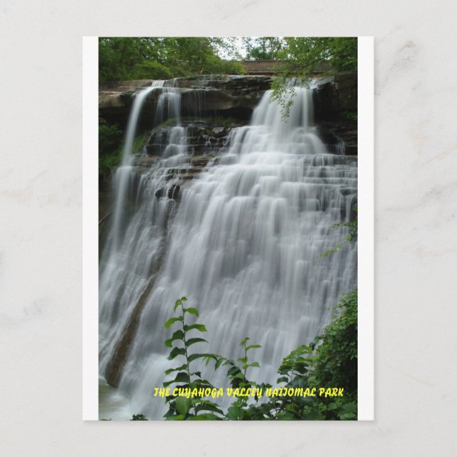 071809-314PC POSTCARD (Front)