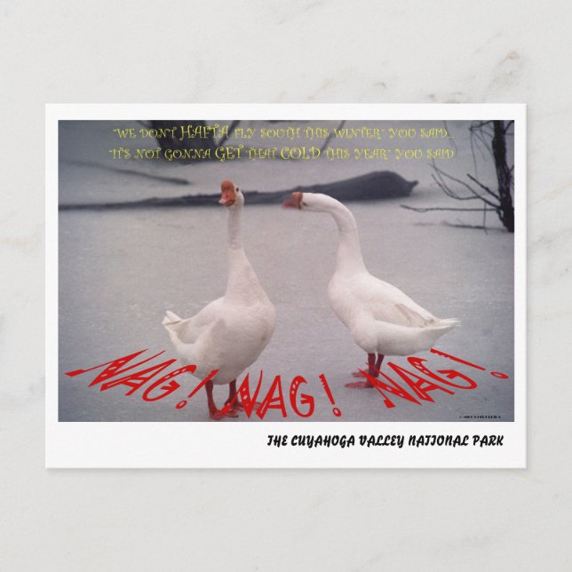 072506-10-APC NAG, NAG, NAG POSTCARD (Front)