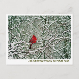 080806-25-APC POSTCARD