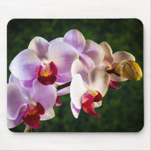 0834-Pink Orchids Mouse Pad