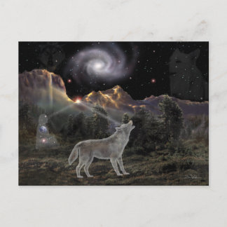 08StarWolf-5.8x4.2-Postcard Postcard