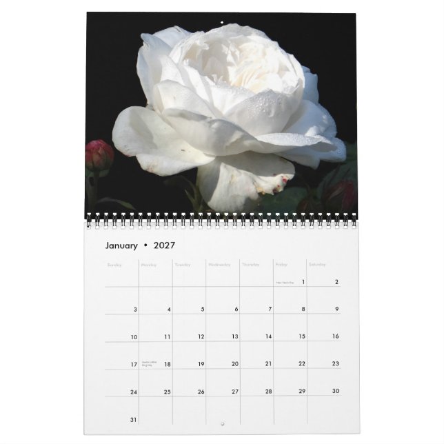 0 2013 Glorious Roses Calendar (Jan 2027)
