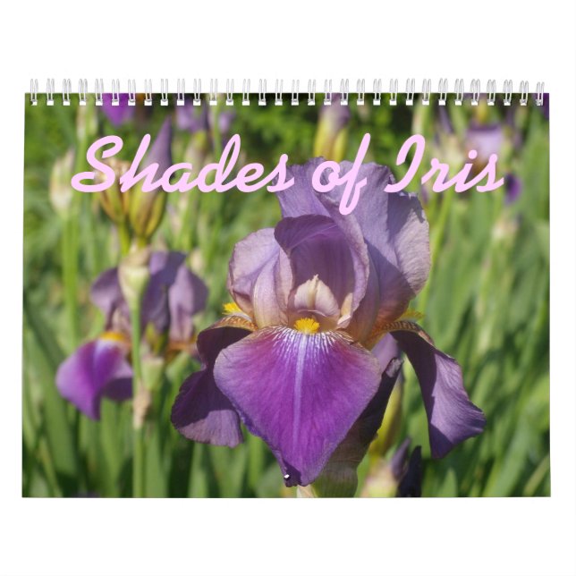 0 2013 Shades of Iris Calendar (Cover)