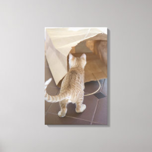 0 2 CANVAS PRINT