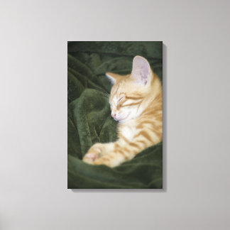 0 3 CANVAS PRINT
