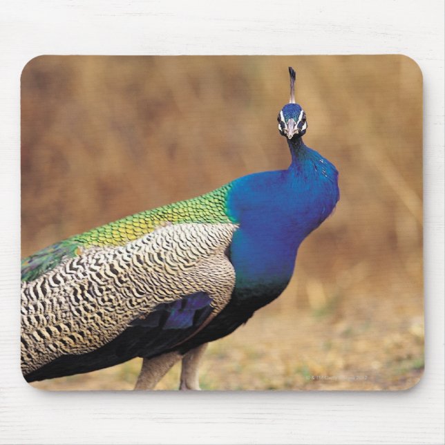 0 3 MOUSE PAD (Front)