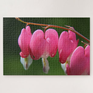 1000 piece  Bleeding Heart Jigsaw Puzzle