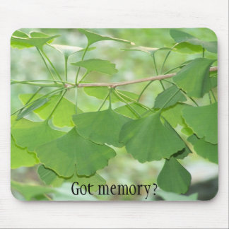 100_0337, Got memory? Mouse Pad