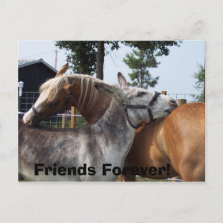 100_0424, Friends Forever! Postcard