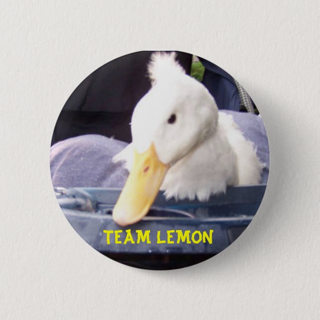 100_0517.jpg.w560h420, TEAM LEMON 6 Cm Round Badge (Front)