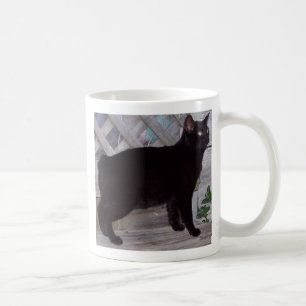 100_0621 COFFEE MUG