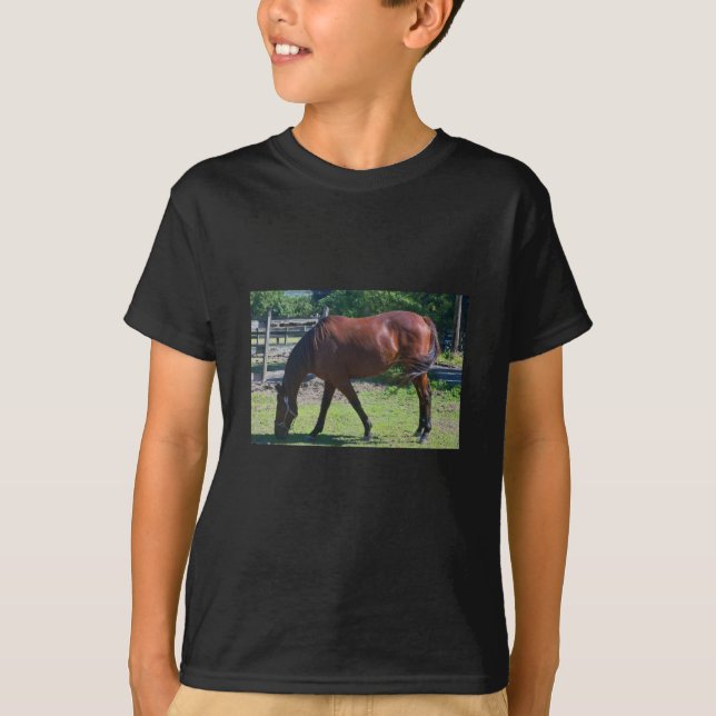 100_0830-1 Child's horse Tee Shirt (Front)