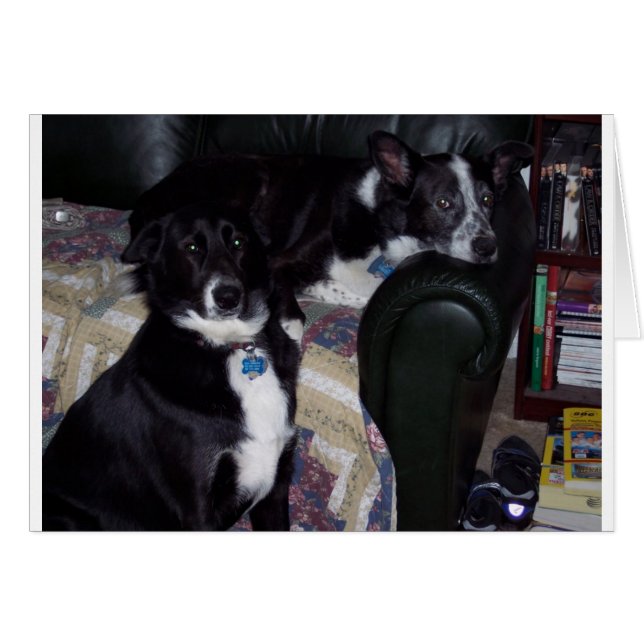 100_1642 (Front Horizontal)