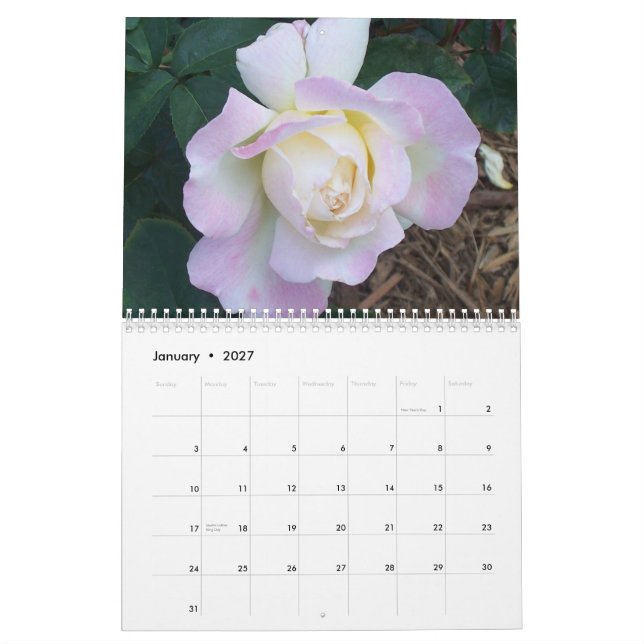 100_1907, Overton Roses 2006 Calendar (Jan 2027)