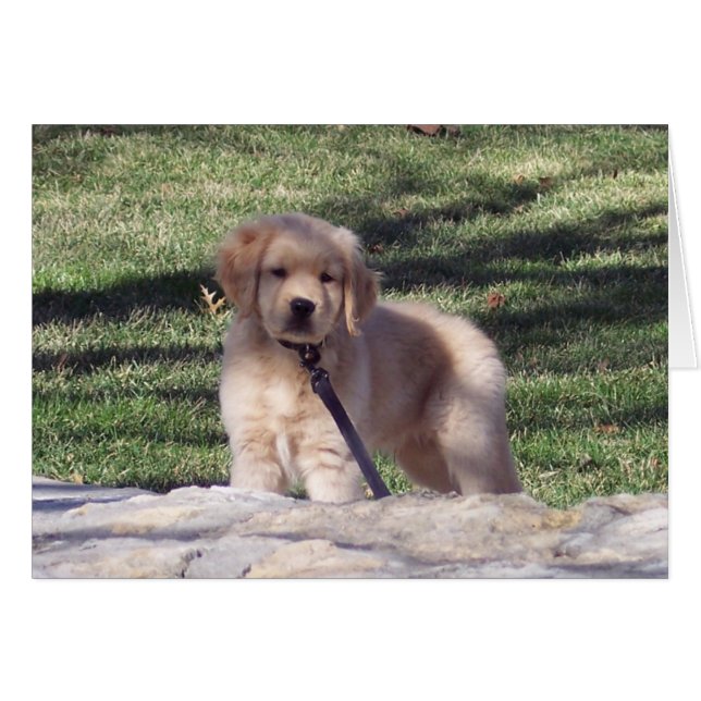 100_2426 (Front Horizontal)