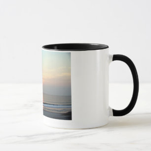 100_2580_edited mug