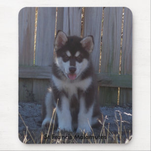 100_2932, St Francis Malamutes Mouse Pad