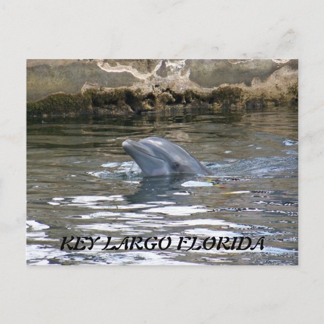 100_8578, KEY LARGO FLORIDA POSTCARD (Front)