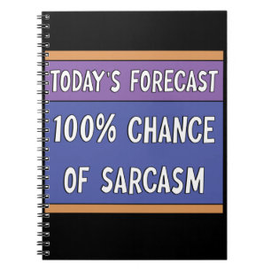 100% Chance of Sarcasm   Notebook