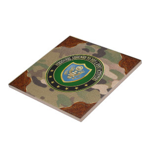 [100] DOD & Joint Activities CSIB Special Edition Tile