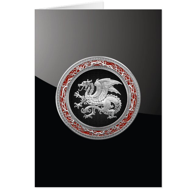 [100] Icelandic Dragon, Landvættir [Silver] (Front)