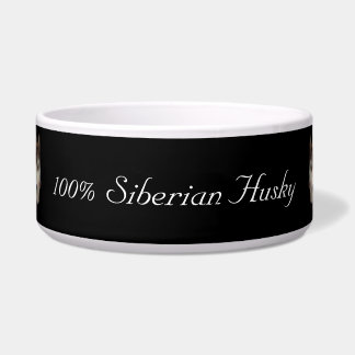 100% Siberian Husky Husky