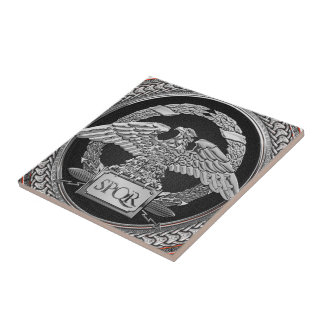 [100] Silver Roman Imperial Eagle over Medallion Tile