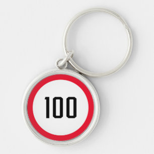 100 Speed Limit Round Road Traffic Sign Keychain
