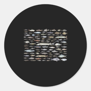 100 Types Of Freshwater Fish Species Fishing  Classic Round Sticker