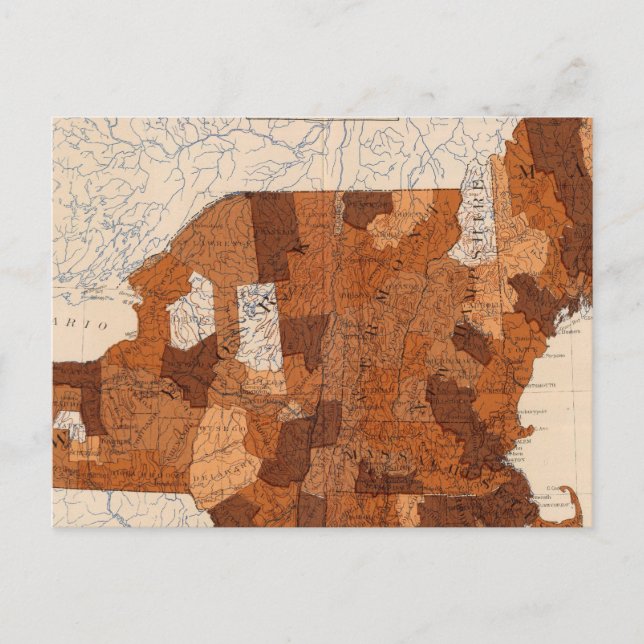 101 Consumption NY, NJ, New England Postcard (Front)