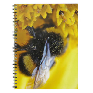 101.JPG NOTEBOOK