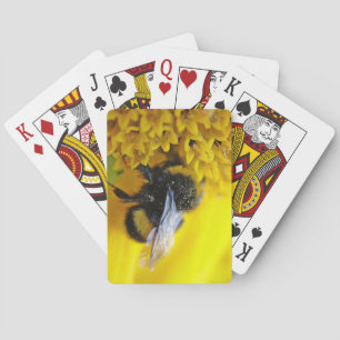 101.JPG PLAYING CARDS