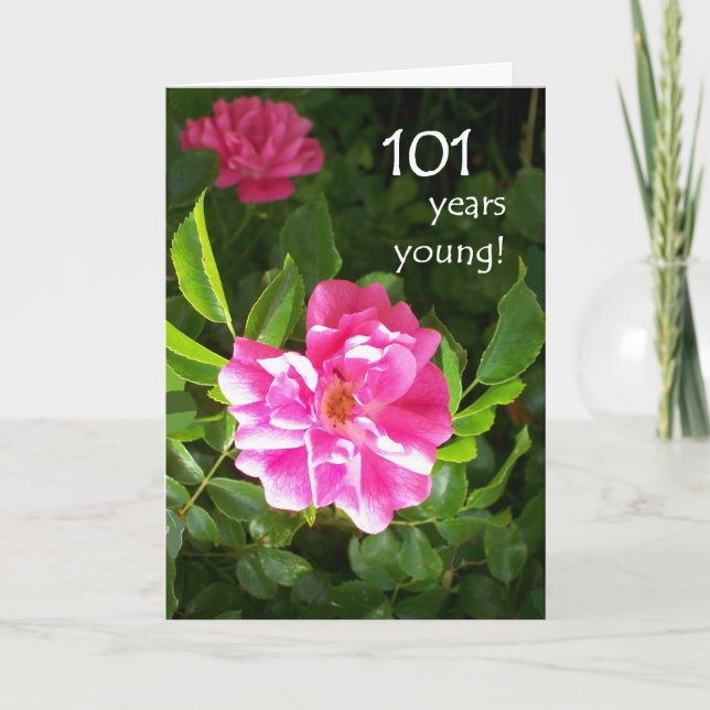 101st Birthday Card - Pink Roses (Front)