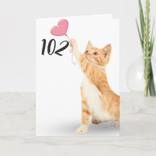102nd birthday tabby cat card